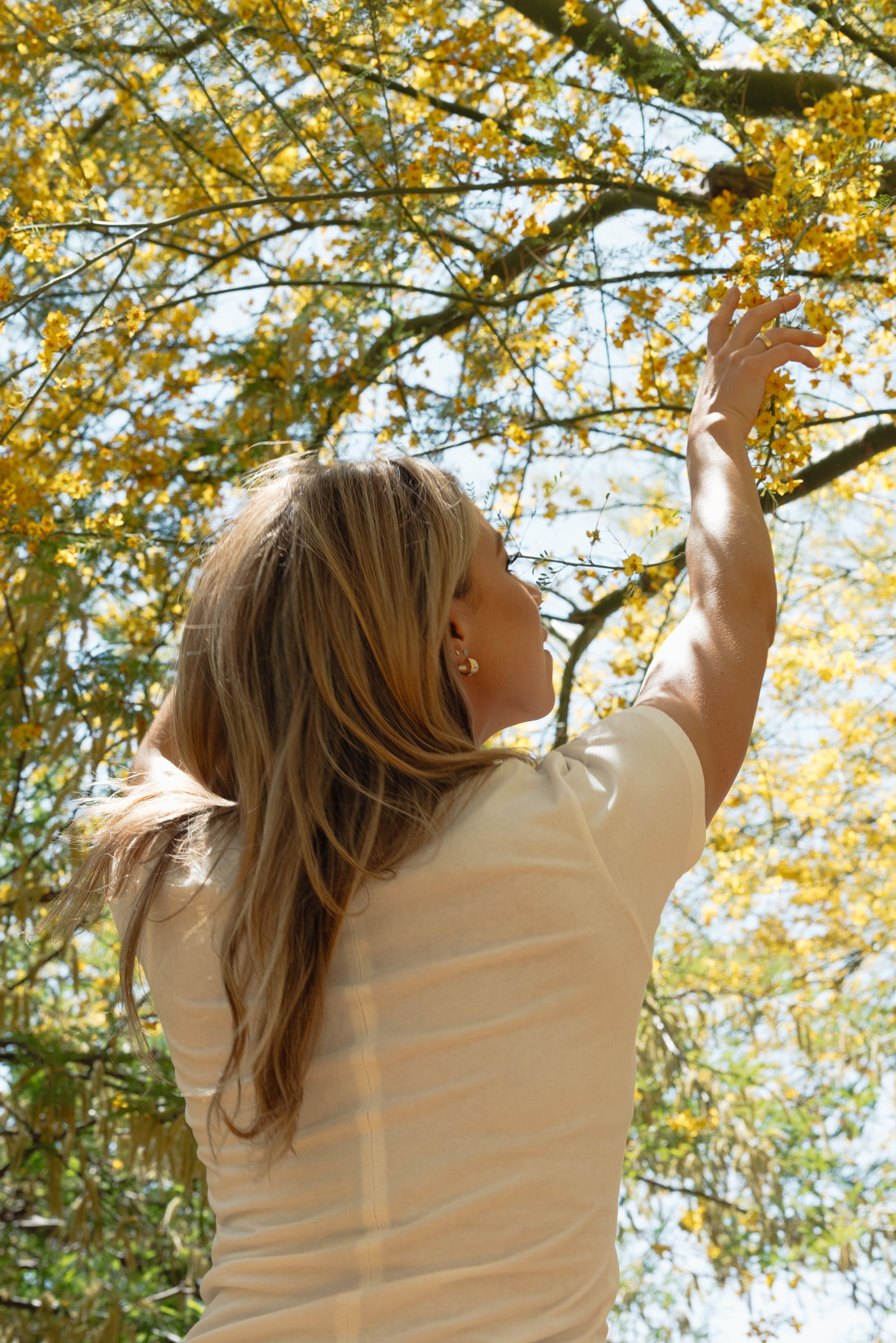 Welcome to THE GOOD THINGS